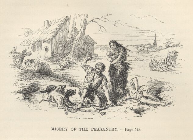 Misery of the Peasantry——543