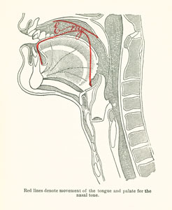 nasal tone nasal tone