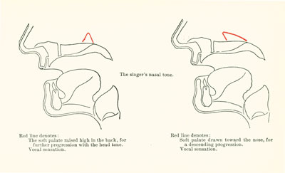 nasal tone nasal tone