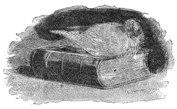 BLANCHE THE PIGEON BLANCHE THE PIGEON
