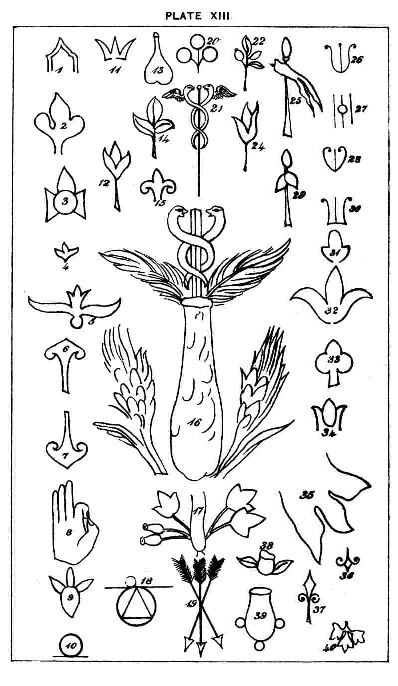 Plate Xiii. 094