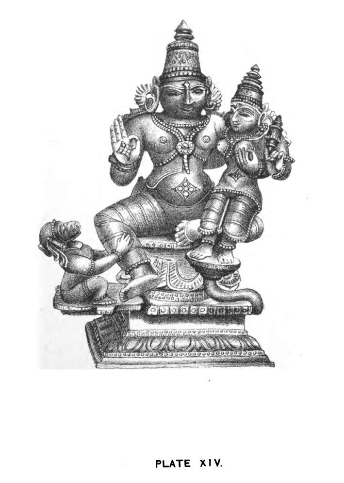 Plate Xiv. 096