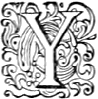 Y Y