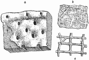 Fig. 77.