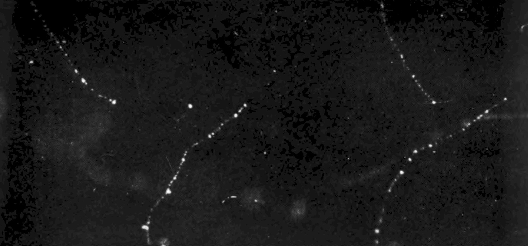 i005