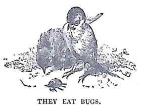 image007