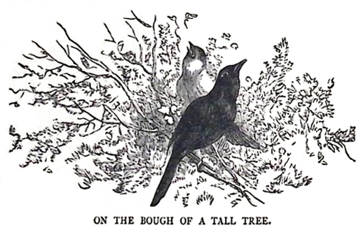 image008