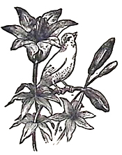 image009