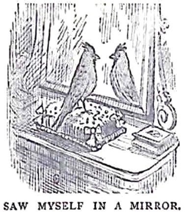 image022