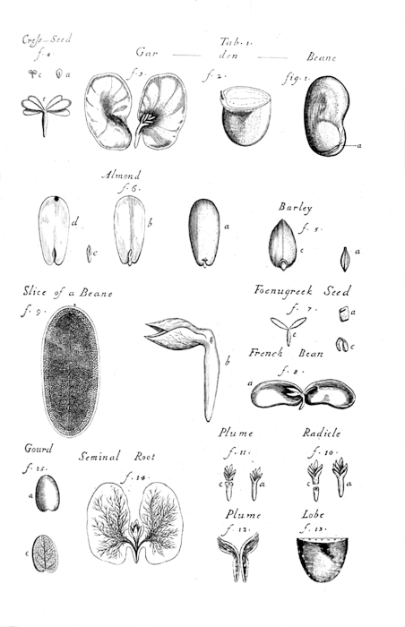 Tab1