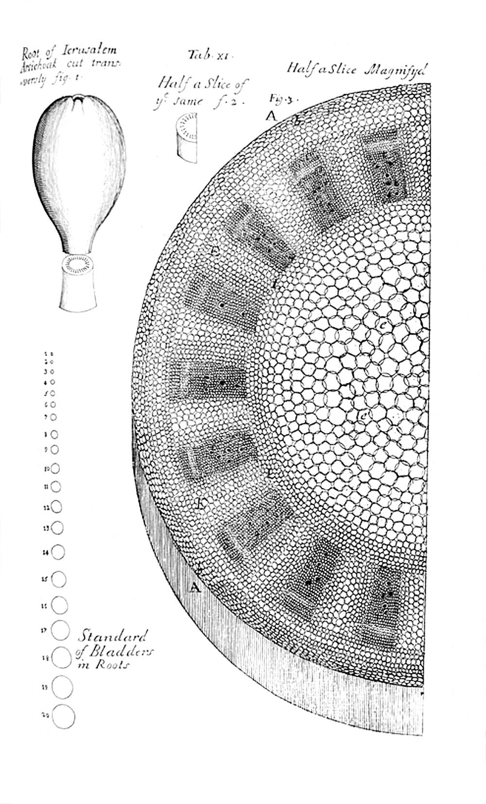 Tab 11
