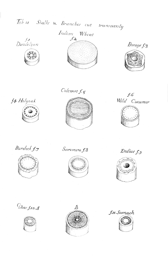 Tab 18