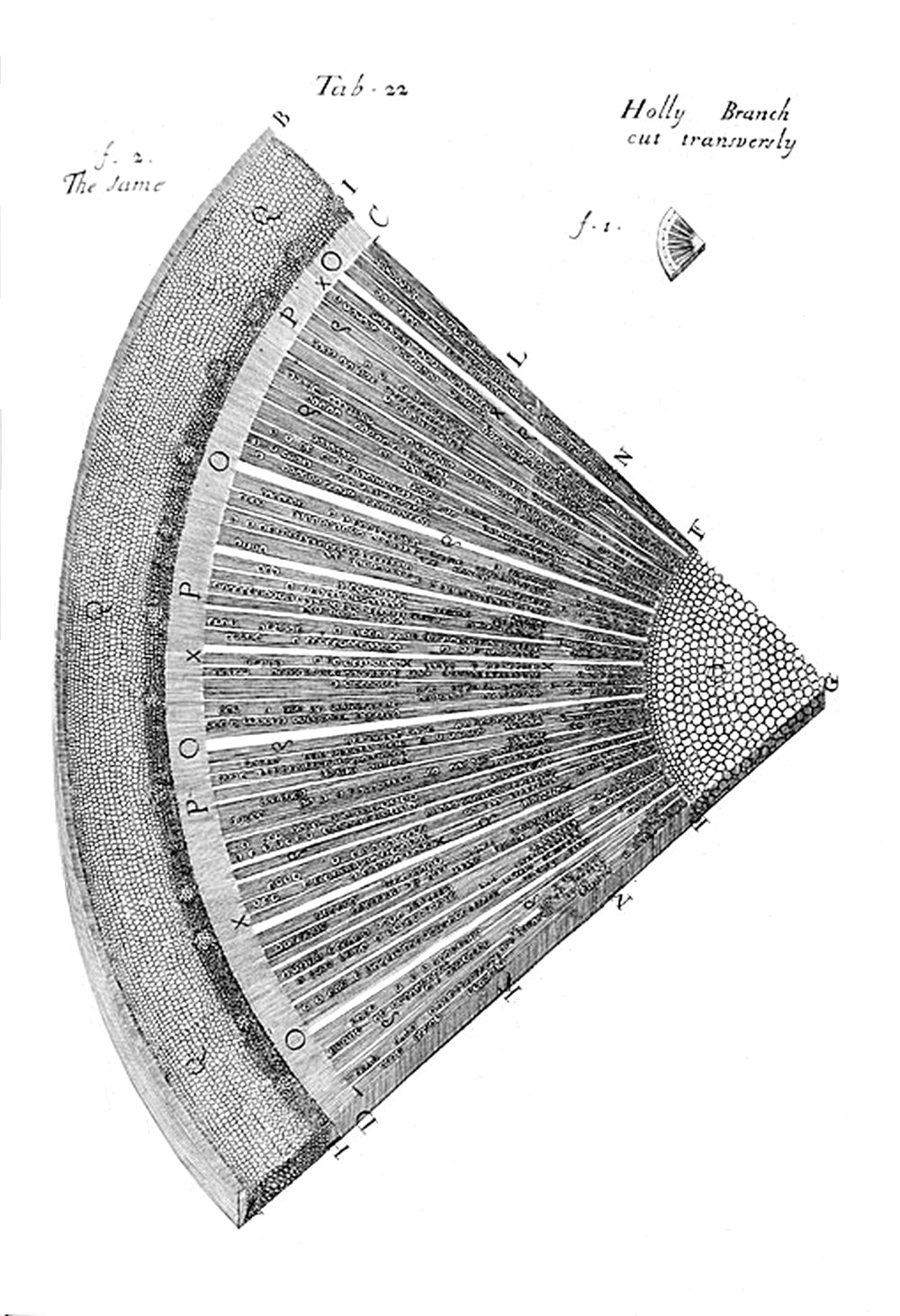 Tab 22