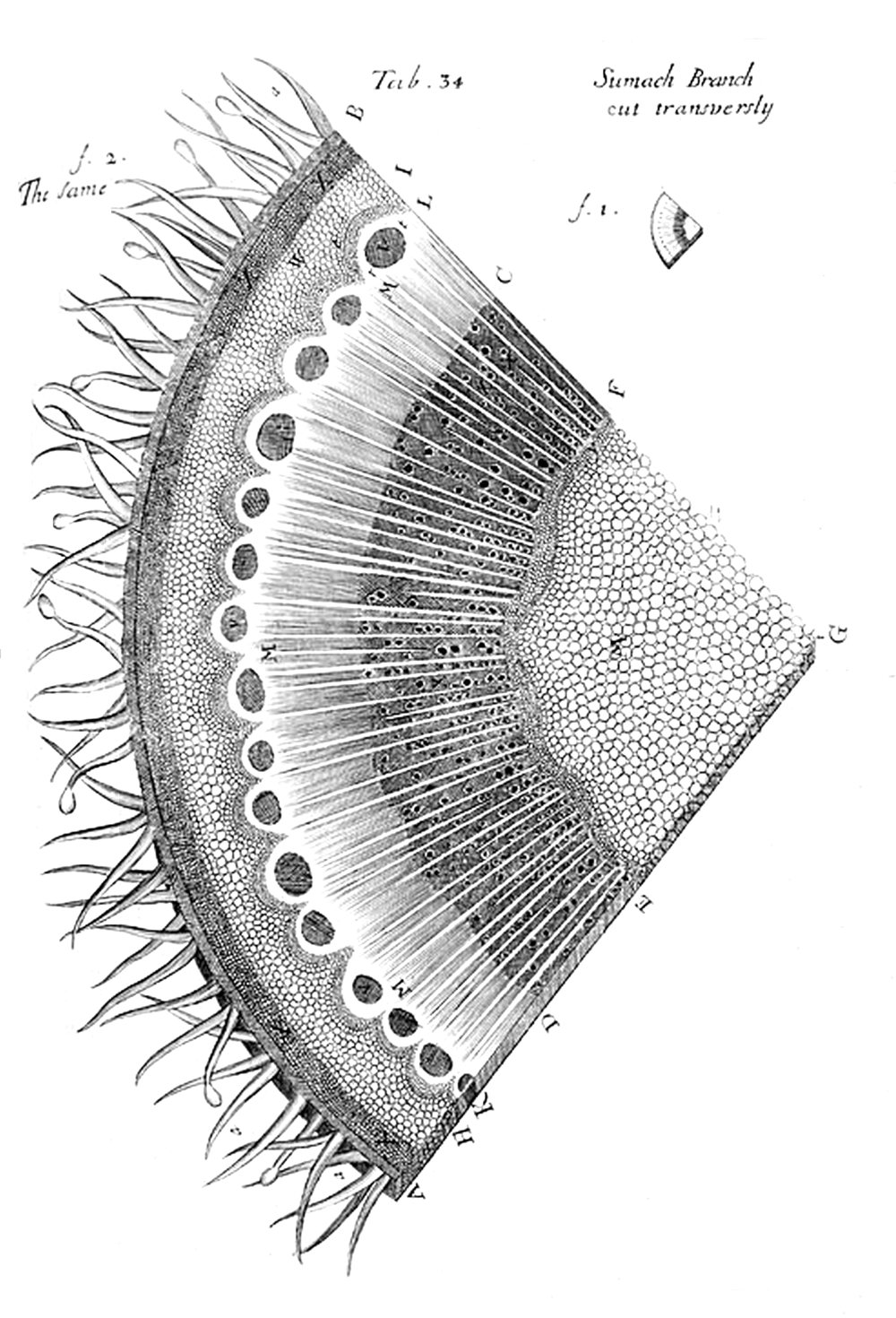 Tab 34