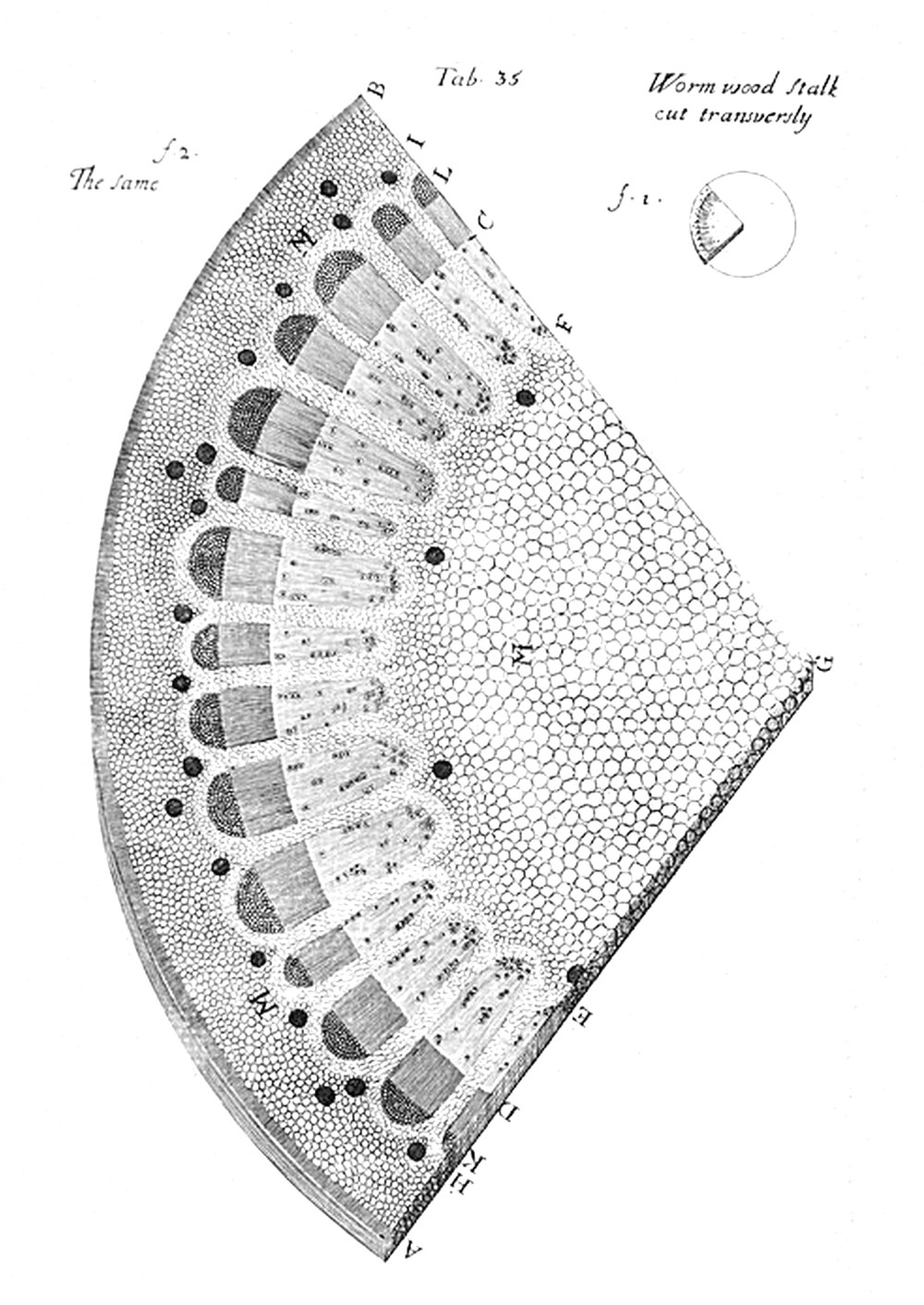 Tab 35