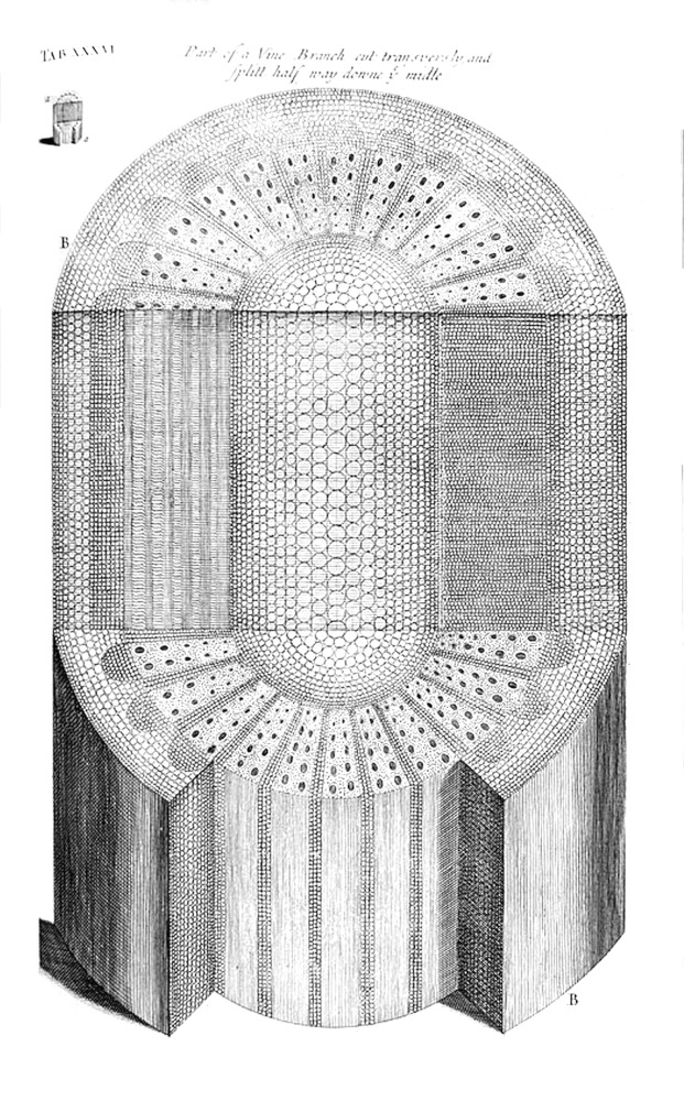 Tab 36