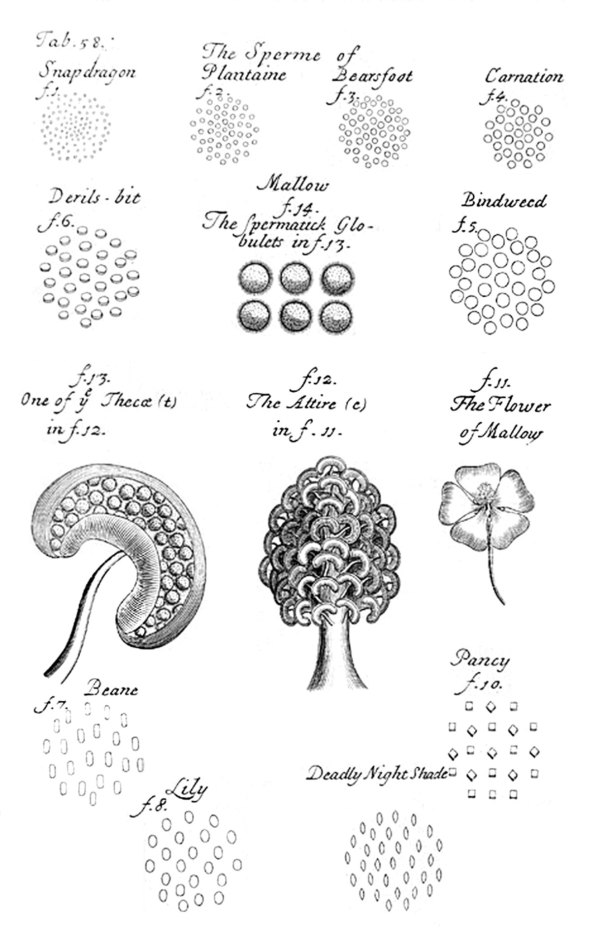 Tab 58