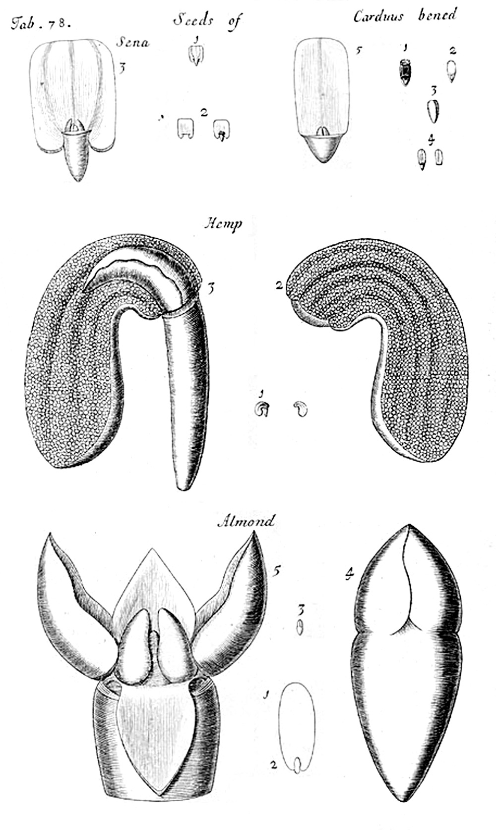 Tab 78