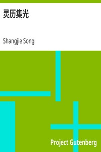 Cover of 灵历集光