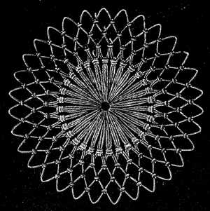 FIG. 621. CIRCULAR NETTING COMPOSED OF LONG AND SHORT LOOPS.