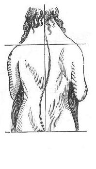 Fig. 10.