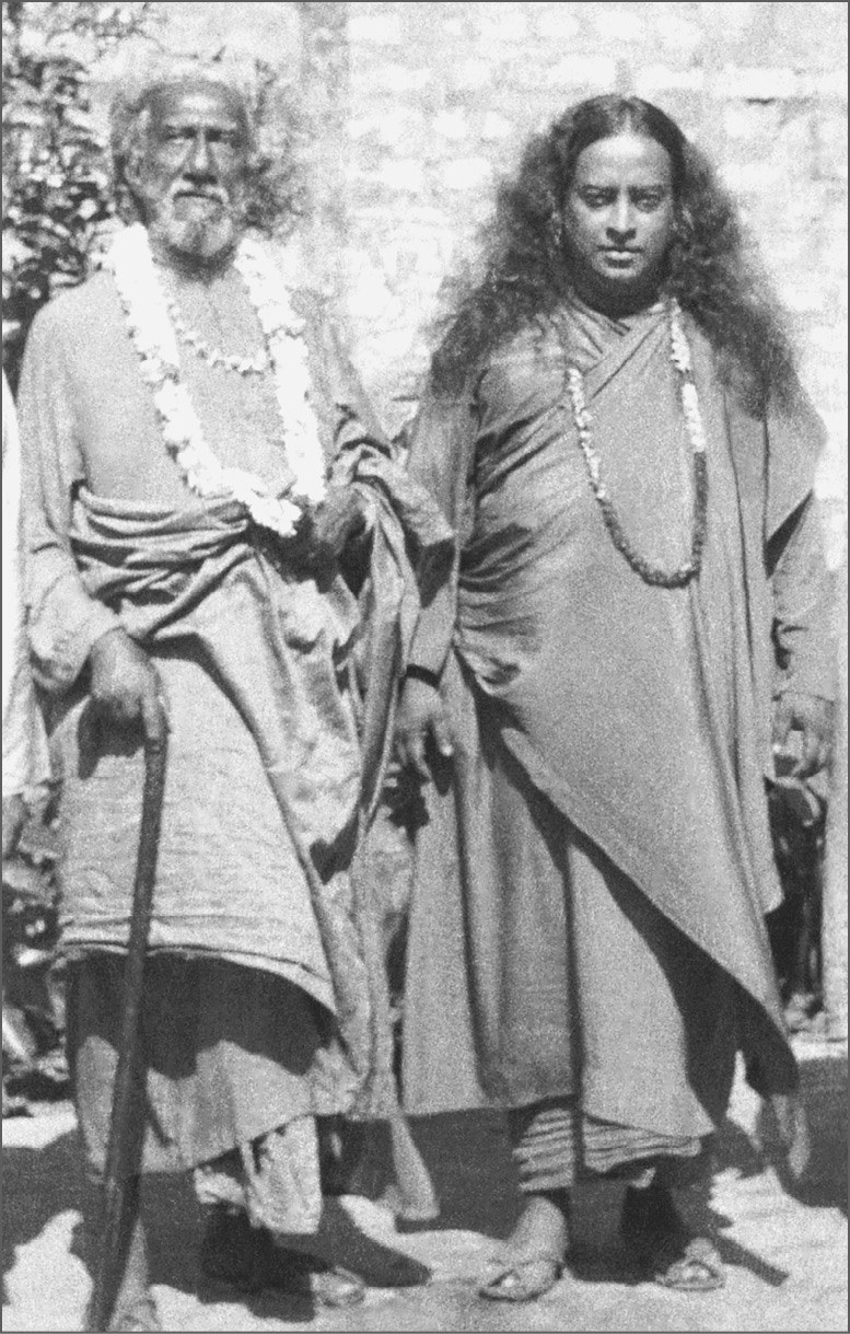 gurus